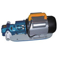 WCB系列微型齿轮式输油泵